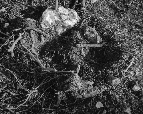 Garrigue 2_18