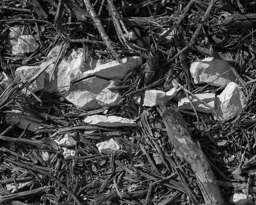 Garrigue 2_25