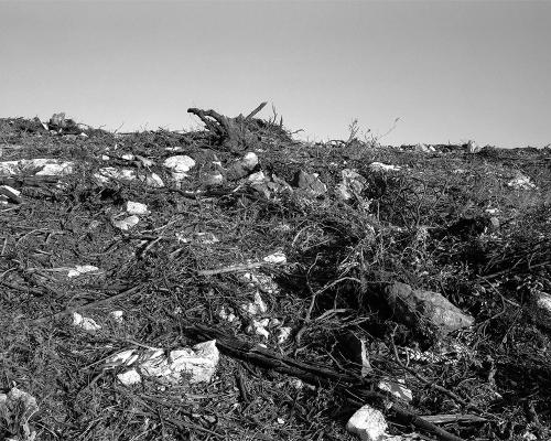 Garrigue 3_11