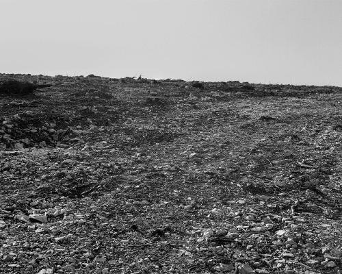 Garrigue 3_18