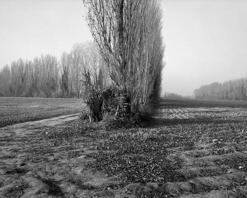 Oiselay 1_18